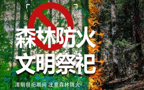 清明節：文明祭奠、預防火災